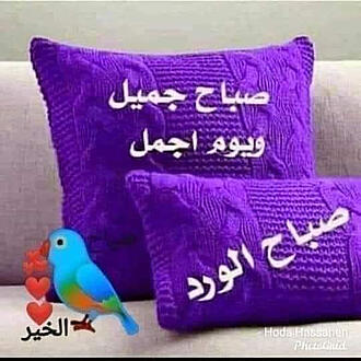 اضغط على الصورة لعرض أكبر.&nbsp;

الإسم:	IMG_20221106_065524_465.jpg&nbsp;
مشاهدات:	580&nbsp;
الحجم:	55.0 كيلوبايت&nbsp;
الهوية:	958090