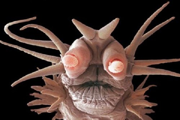 اضغط على الصورة لعرض أكبر.&nbsp;

الإسم:	ط1.jpg&nbsp;
مشاهدات:	1&nbsp;
الحجم:	60.5 كيلوبايت&nbsp;
الهوية:	849006