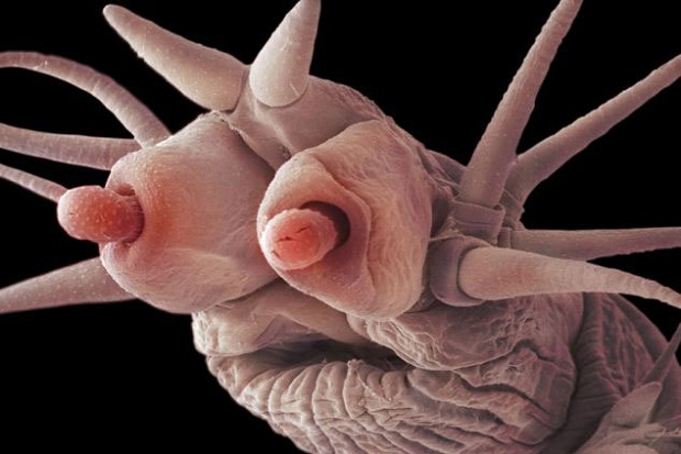اضغط على الصورة لعرض أكبر.&nbsp;

الإسم:	ط21.jpg&nbsp;
مشاهدات:	1&nbsp;
الحجم:	68.4 كيلوبايت&nbsp;
الهوية:	849007
