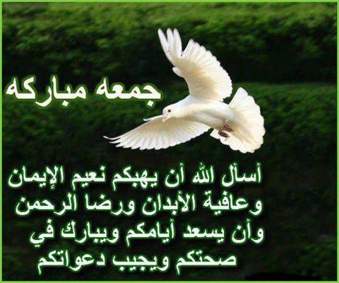 اضغط على الصورة لعرض أكبر.&nbsp;

الإسم:	52b85605de32589b25b74c9851f3088c.jpg&nbsp;
مشاهدات:	1&nbsp;
الحجم:	51.8 كيلوبايت&nbsp;
الهوية:	832593