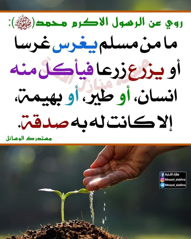 اضغط على الصورة لعرض أكبر.&nbsp;

الإسم:	353712603_3414903932158170_3226176724922918910_n.jpg&nbsp;
مشاهدات:	193&nbsp;
الحجم:	149.4 كيلوبايت&nbsp;
الهوية:	977448