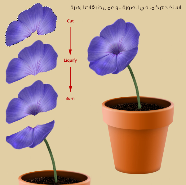 اضغط على الصورة لعرض أكبر.&nbsp;

الإسم:	26.jpg&nbsp;
مشاهدات:	1&nbsp;
الحجم:	146.2 كيلوبايت&nbsp;
الهوية:	830065