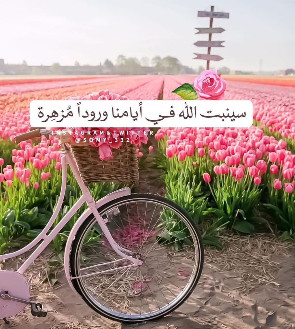 اضغط على الصورة لعرض أكبر.&nbsp;

الإسم:	photo_2021-09-05_11-17-58.jpg&nbsp;
مشاهدات:	357&nbsp;
الحجم:	276.9 كيلوبايت&nbsp;
الهوية:	955290