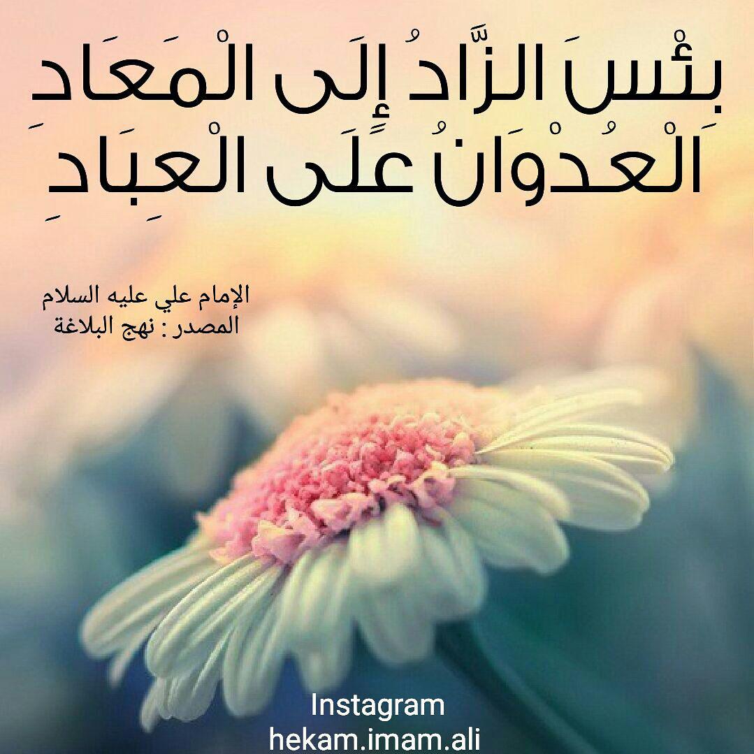 اضغط على الصورة لعرض أكبر.&nbsp;

الإسم:	photo_2016-09-21_14-40-55.jpg&nbsp;
مشاهدات:	1&nbsp;
الحجم:	120.2 كيلوبايت&nbsp;
الهوية:	859980