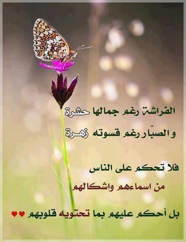 اضغط على الصورة لعرض أكبر.&nbsp;

الإسم:	2_013انل7.jpg&nbsp;
مشاهدات:	1&nbsp;
الحجم:	26.1 كيلوبايت&nbsp;
الهوية:	832061