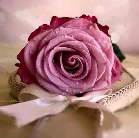 اضغط على الصورة لعرض أكبر.&nbsp;

الإسم:	FB_IMG_1459114276914.jpg&nbsp;
مشاهدات:	2&nbsp;
الحجم:	21.0 كيلوبايت&nbsp;
الهوية:	840902