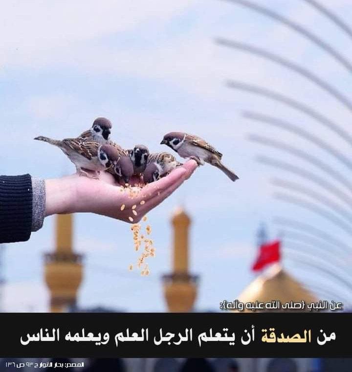 اضغط على الصورة لعرض أكبر.&nbsp;

الإسم:	photo_2022-05-10_07-49-44.jpg&nbsp;
مشاهدات:	333&nbsp;
الحجم:	70.2 كيلوبايت&nbsp;
الهوية:	945980