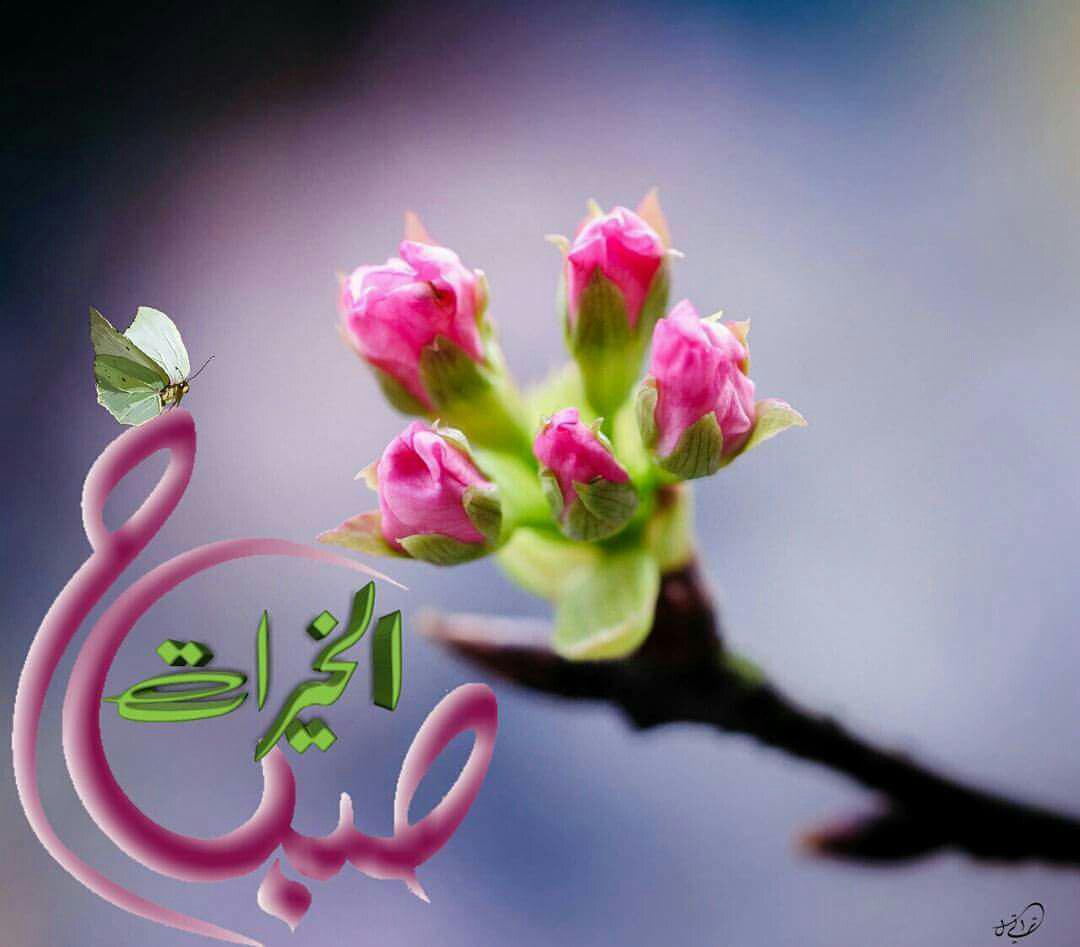 اضغط على الصورة لعرض أكبر.&nbsp;

الإسم:	photo_2016-12-21_21-04-23.jpg&nbsp;
مشاهدات:	1&nbsp;
الحجم:	62.3 كيلوبايت&nbsp;
الهوية:	861061