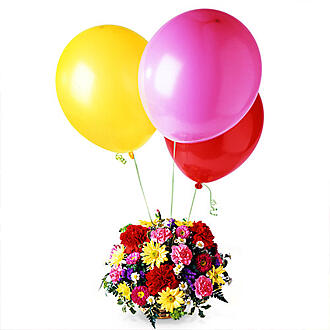 اضغط على الصورة لعرض أكبر.&nbsp;

الإسم:	0112996158553_500X500.jpg&nbsp;
مشاهدات:	3&nbsp;
الحجم:	38.2 كيلوبايت&nbsp;
الهوية:	834281