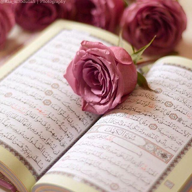 اضغط على الصورة لعرض أكبر.&nbsp;

الإسم:	photo_2016-11-25_22-20-09.jpg&nbsp;
مشاهدات:	3&nbsp;
الحجم:	62.0 كيلوبايت&nbsp;
الهوية:	860136
