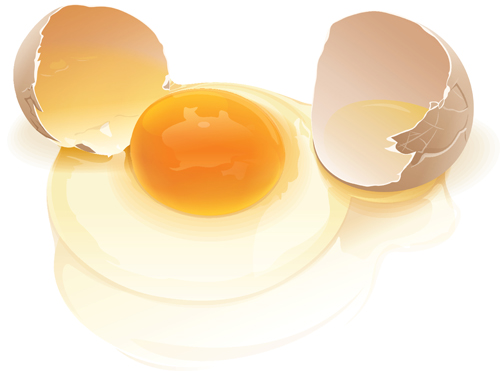 اضغط على الصورة لعرض أكبر.&nbsp;

الإسم:	broken_egg.jpg&nbsp;
مشاهدات:	1&nbsp;
الحجم:	87.8 كيلوبايت&nbsp;
الهوية:	850926