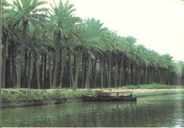 اضغط على الصورة لعرض أكبر.&nbsp;

الإسم:	blog-222166211.jpg&nbsp;
مشاهدات:	1&nbsp;
الحجم:	8.0 كيلوبايت&nbsp;
الهوية:	848325