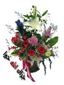 اضغط على الصورة لعرض أكبر.&nbsp;

الإسم:	taxi-bnat-a0d206fb75.jpg&nbsp;
مشاهدات:	3&nbsp;
الحجم:	12.3 كيلوبايت&nbsp;
الهوية:	830283