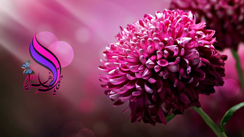 اضغط على الصورة لعرض أكبر.&nbsp;

الإسم:	1382076_439987229445306_1991959761_n.jpg&nbsp;
مشاهدات:	1&nbsp;
الحجم:	54.6 كيلوبايت&nbsp;
الهوية:	852292