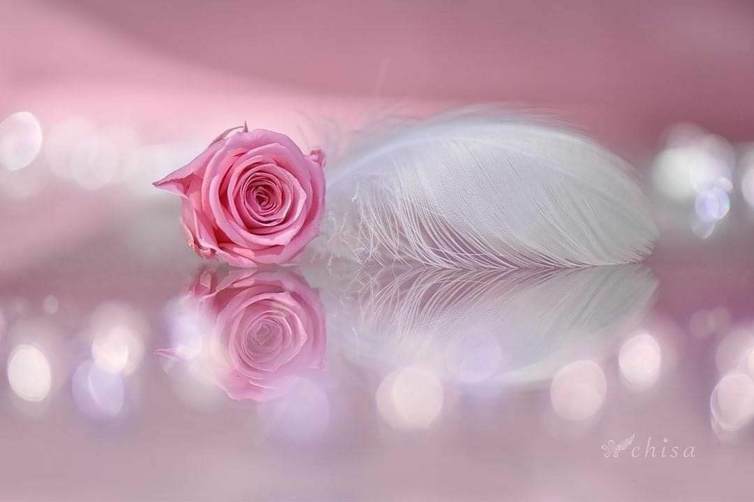 اضغط على الصورة لعرض أكبر.&nbsp;

الإسم:	FB_IMG_1625061254736.jpg&nbsp;
مشاهدات:	534&nbsp;
الحجم:	82.8 كيلوبايت&nbsp;
الهوية:	992788