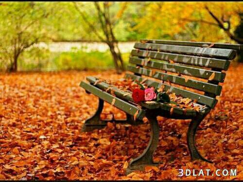 اضغط على الصورة لعرض أكبر.&nbsp;

الإسم:	photo_2016-09-21_00-46-26.jpg&nbsp;
مشاهدات:	341&nbsp;
الحجم:	64.9 كيلوبايت&nbsp;
الهوية:	919297
