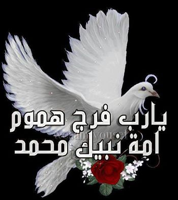 اضغط على الصورة لعرض أكبر.&nbsp;

الإسم:	1538655_1453286714906122_157999954_n.jpg&nbsp;
مشاهدات:	1&nbsp;
الحجم:	23.6 كيلوبايت&nbsp;
الهوية:	834167
