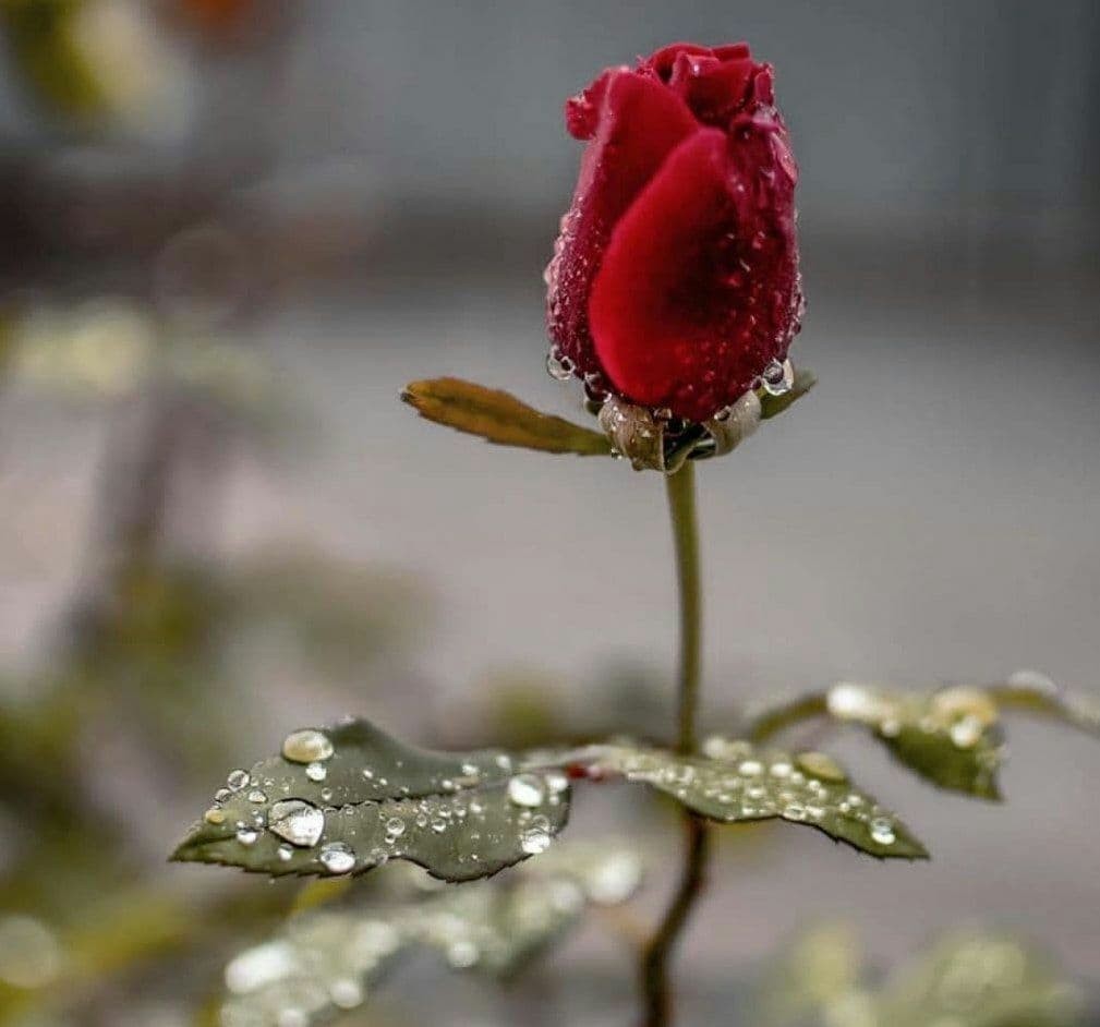 اضغط على الصورة لعرض أكبر.&nbsp;

الإسم:	photo_2021-03-03_00-16-50.jpg&nbsp;
مشاهدات:	879&nbsp;
الحجم:	83.8 كيلوبايت&nbsp;
الهوية:	910163