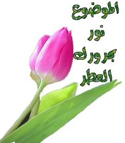 اضغط على الصورة لعرض أكبر.&nbsp;

الإسم:	1283343115.jpg&nbsp;
مشاهدات:	2&nbsp;
الحجم:	10.7 كيلوبايت&nbsp;
الهوية:	828363