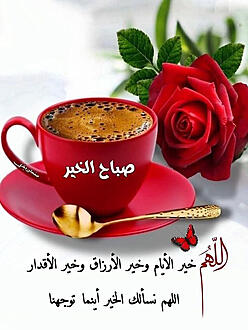 اضغط على الصورة لعرض أكبر.&nbsp;

الإسم:	IMG_20250601_065642_690.jpg&nbsp;
مشاهدات:	151&nbsp;
الحجم:	108.9 كيلوبايت&nbsp;
الهوية:	1042735