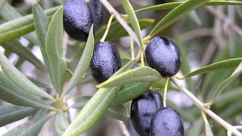 اضغط على الصورة لعرض أكبر.&nbsp;

الإسم:	image.png&nbsp;
مشاهدات:	242&nbsp;
الحجم:	289.3 كيلوبايت&nbsp;
الهوية:	1006013
