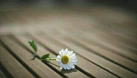اضغط على الصورة لعرض أكبر.&nbsp;

الإسم:	photo_2016-09-21_00-46-09.jpg&nbsp;
مشاهدات:	566&nbsp;
الحجم:	21.7 كيلوبايت&nbsp;
الهوية:	881273