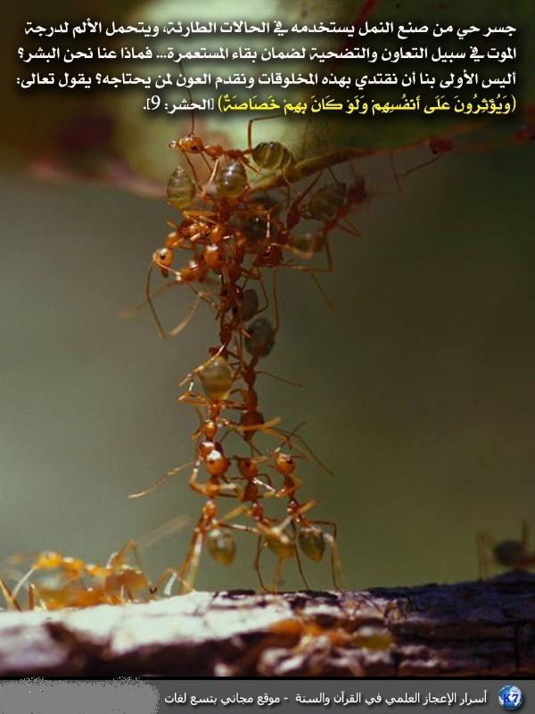 اضغط على الصورة لعرض أكبر.&nbsp;

الإسم:	15dcd1a655d1037c23fe00ec6b28397a.jpg&nbsp;
مشاهدات:	1&nbsp;
الحجم:	56.4 كيلوبايت&nbsp;
الهوية:	852866