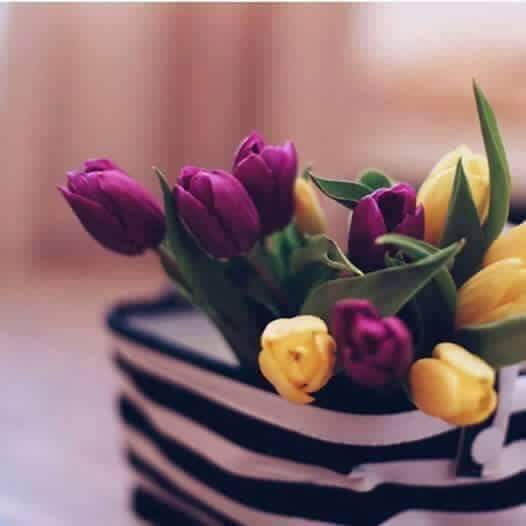 اضغط على الصورة لعرض أكبر.&nbsp;

الإسم:	FB_IMG_1459366473744.jpg&nbsp;
مشاهدات:	3&nbsp;
الحجم:	15.2 كيلوبايت&nbsp;
الهوية:	861897
