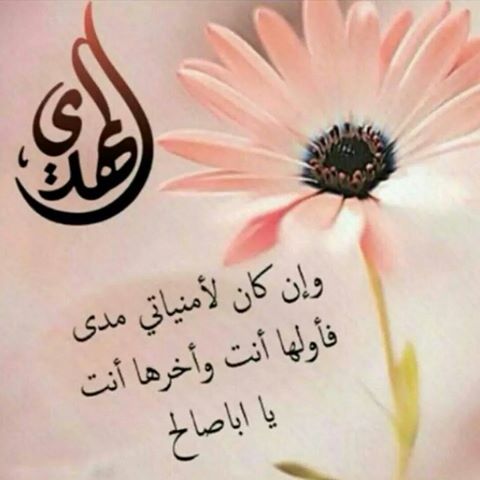 اضغط على الصورة لعرض أكبر.&nbsp;

الإسم:	مهدييي.jpg&nbsp;
مشاهدات:	2&nbsp;
الحجم:	27.6 كيلوبايت&nbsp;
الهوية:	861614