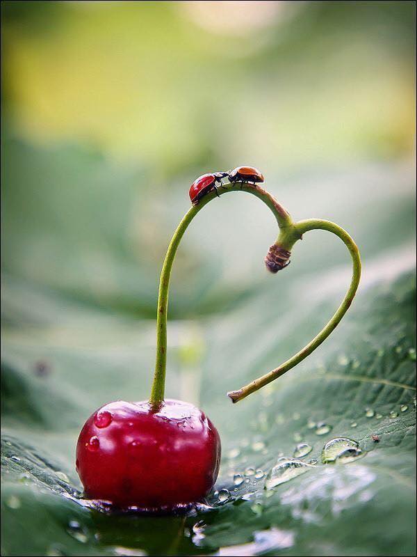اضغط على الصورة لعرض أكبر.&nbsp;

الإسم:	19429651_1789718791044216_6553069777629401929_n.jpg&nbsp;
مشاهدات:	3&nbsp;
الحجم:	45.3 كيلوبايت&nbsp;
الهوية:	840697