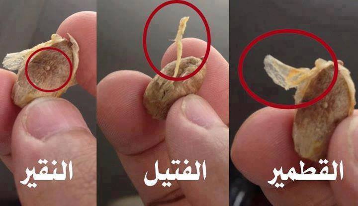 اضغط على الصورة لعرض أكبر.&nbsp;

الإسم:	1375171_587166868015442_1582291823_n.jpg&nbsp;
مشاهدات:	1&nbsp;
الحجم:	33.5 كيلوبايت&nbsp;
الهوية:	852382