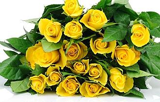 اضغط على الصورة لعرض أكبر.&nbsp;

الإسم:	yellowroseyellowflowers (1).jpg&nbsp;
مشاهدات:	1&nbsp;
الحجم:	77.0 كيلوبايت&nbsp;
الهوية:	833083