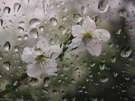 اضغط على الصورة لعرض أكبر.&nbsp;

الإسم:	14725593_353680941633490_4695839850228148686_n.jpg&nbsp;
مشاهدات:	2&nbsp;
الحجم:	22.9 كيلوبايت&nbsp;
الهوية:	859813