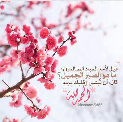 اضغط على الصورة لعرض أكبر.&nbsp;

الإسم:	photo_2016-11-11_09-14-04.jpg&nbsp;
مشاهدات:	1&nbsp;
الحجم:	35.8 كيلوبايت&nbsp;
الهوية:	862480