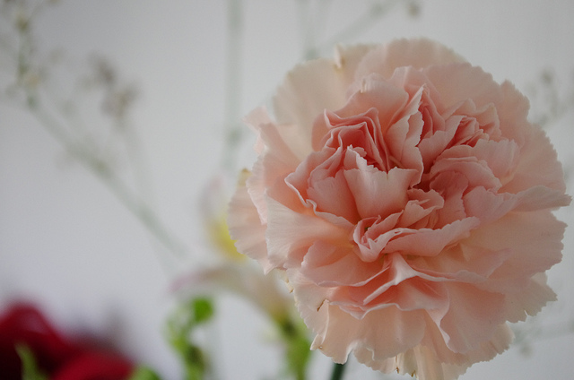 اضغط على الصورة لعرض أكبر.&nbsp;

الإسم:	a8bb56318a54ab369b15869a6b4a1a7d.jpg&nbsp;
مشاهدات:	2&nbsp;
الحجم:	88.6 كيلوبايت&nbsp;
الهوية:	859859