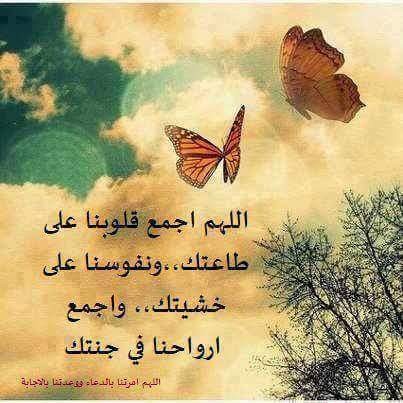 اضغط على الصورة لعرض أكبر.&nbsp;

الإسم:	IMG_118361875274340.jpeg&nbsp;
مشاهدات:	431&nbsp;
الحجم:	50.1 كيلوبايت&nbsp;
الهوية:	897779