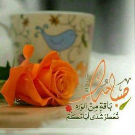 اضغط على الصورة لعرض أكبر.&nbsp;

الإسم:	received_696452413827202.jpg&nbsp;
مشاهدات:	1&nbsp;
الحجم:	12.2 كيلوبايت&nbsp;
الهوية:	859802