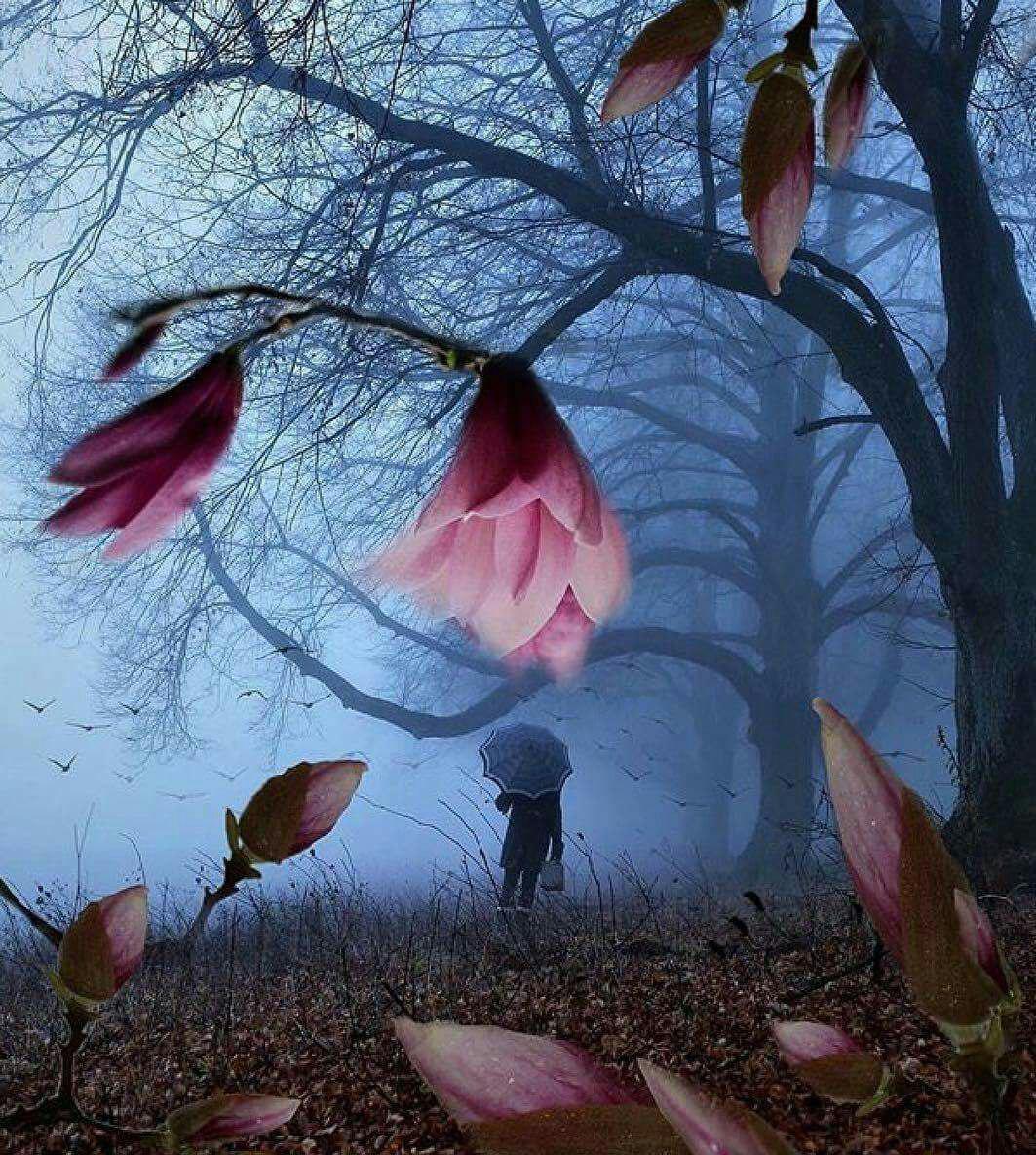 اضغط على الصورة لعرض أكبر.&nbsp;

الإسم:	photo_2017-06-23_17-14-56.jpg&nbsp;
مشاهدات:	1&nbsp;
الحجم:	284.6 كيلوبايت&nbsp;
الهوية:	860842