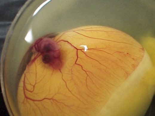 اضغط على الصورة لعرض أكبر.&nbsp;

الإسم:	5.jpg&nbsp;
مشاهدات:	1&nbsp;
الحجم:	24.1 كيلوبايت&nbsp;
الهوية:	847362