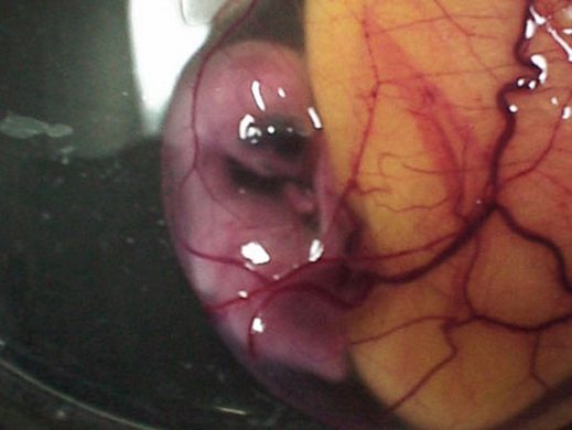 اضغط على الصورة لعرض أكبر.&nbsp;

الإسم:	9.jpg&nbsp;
مشاهدات:	1&nbsp;
الحجم:	26.6 كيلوبايت&nbsp;
الهوية:	847366