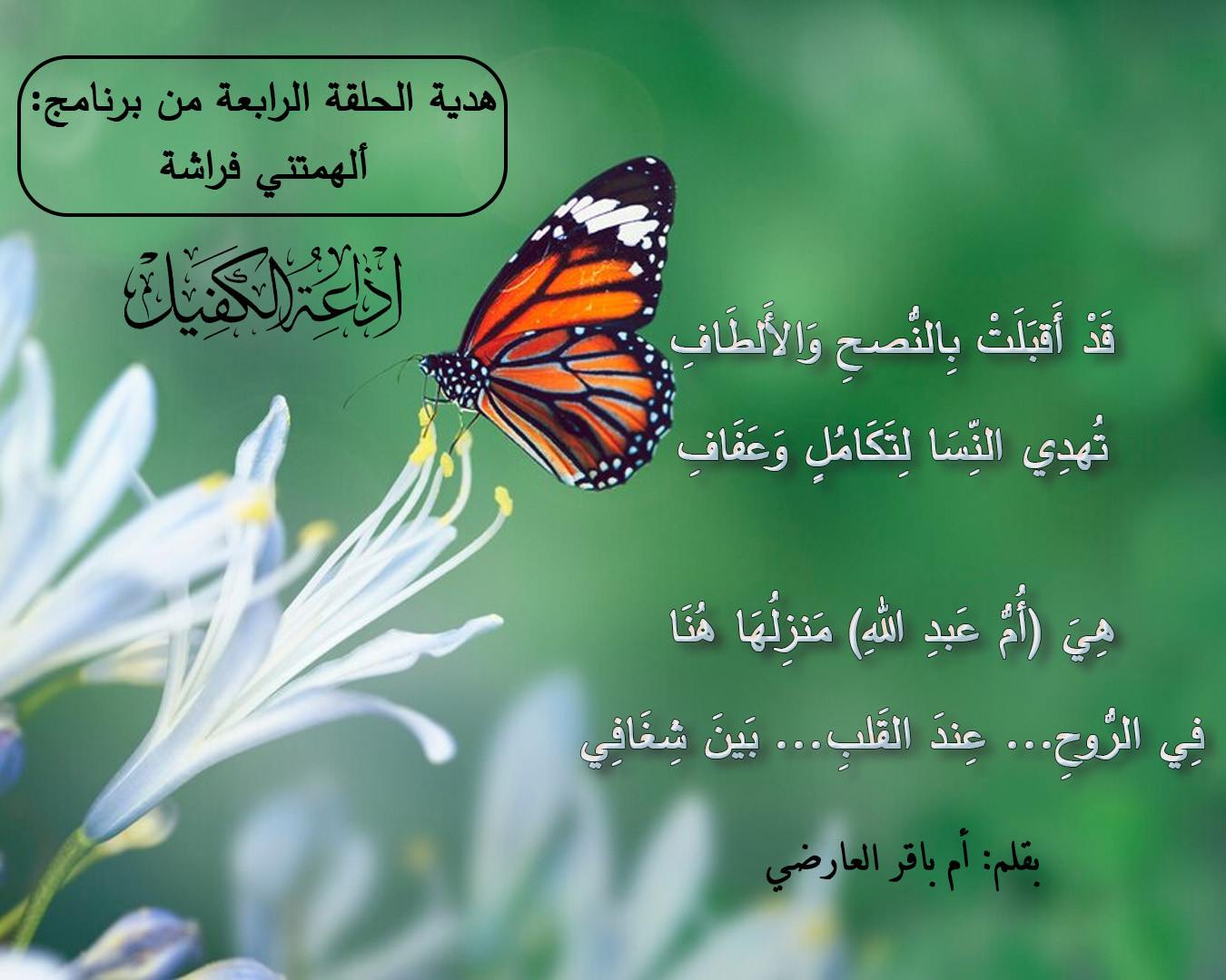 اضغط على الصورة لعرض أكبر.&nbsp;

الإسم:	ام عبد الله.jpg&nbsp;
مشاهدات:	781&nbsp;
الحجم:	277.0 كيلوبايت&nbsp;
الهوية:	993565