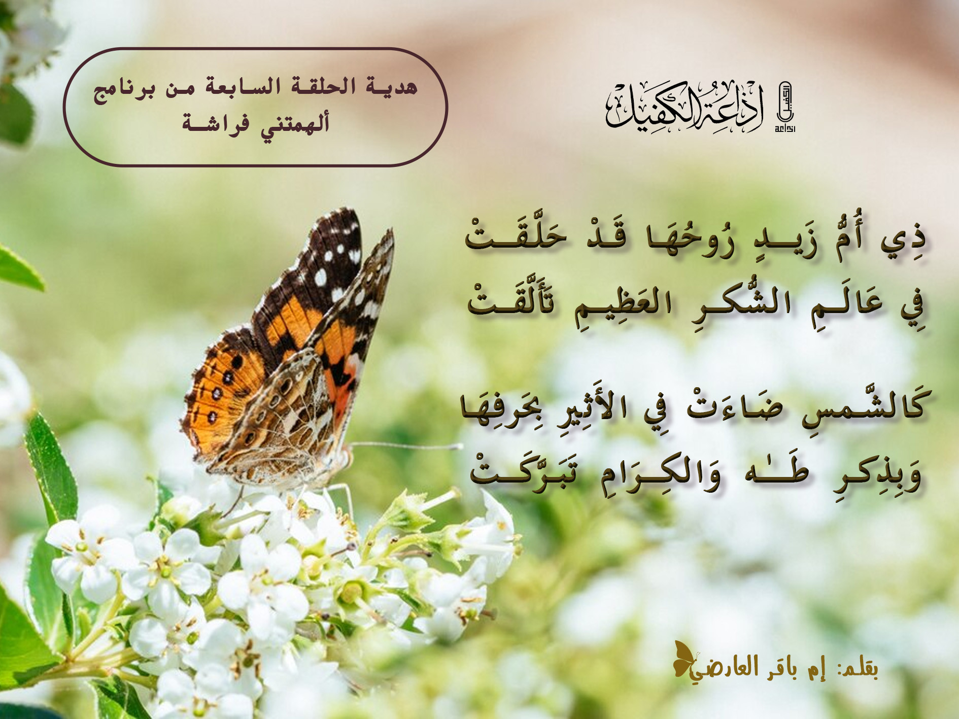 اضغط على الصورة لعرض أكبر.&nbsp;

الإسم:	ام زيد.jpg&nbsp;
مشاهدات:	712&nbsp;
الحجم:	492.4 كيلوبايت&nbsp;
الهوية:	995143