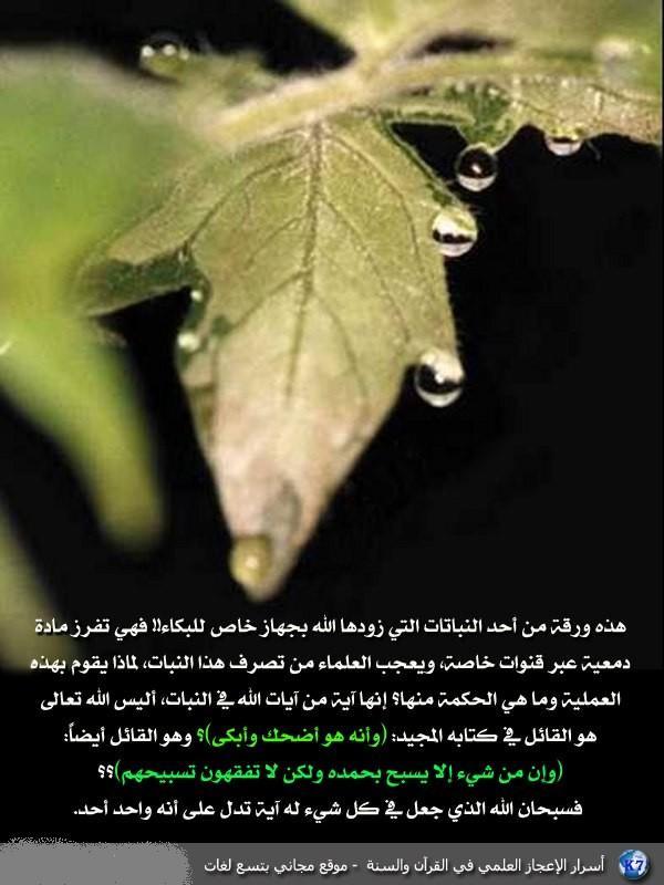 اضغط على الصورة لعرض أكبر.&nbsp;

الإسم:	82e37e423d650e4b1afa36a23d594f11.jpg&nbsp;
مشاهدات:	1&nbsp;
الحجم:	56.3 كيلوبايت&nbsp;
الهوية:	852869