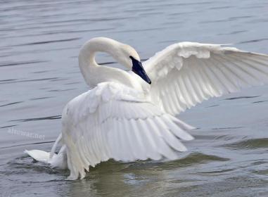 اضغط على الصورة لعرض أكبر.&nbsp;

الإسم:	126.jpg&nbsp;
مشاهدات:	1&nbsp;
الحجم:	14.8 كيلوبايت&nbsp;
الهوية:	850050