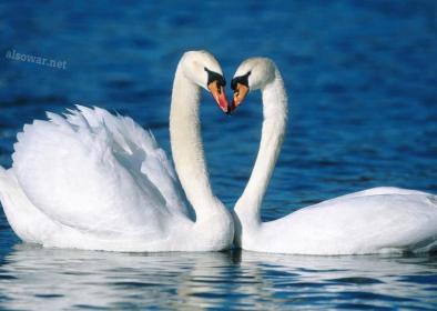 اضغط على الصورة لعرض أكبر.&nbsp;

الإسم:	129.jpg&nbsp;
مشاهدات:	1&nbsp;
الحجم:	16.3 كيلوبايت&nbsp;
الهوية:	850053
