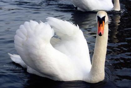 اضغط على الصورة لعرض أكبر.&nbsp;

الإسم:	125.jpg&nbsp;
مشاهدات:	1&nbsp;
الحجم:	18.3 كيلوبايت&nbsp;
الهوية:	850061