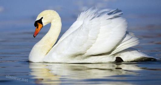 اضغط على الصورة لعرض أكبر.&nbsp;

الإسم:	138.jpg&nbsp;
مشاهدات:	1&nbsp;
الحجم:	17.6 كيلوبايت&nbsp;
الهوية:	850063