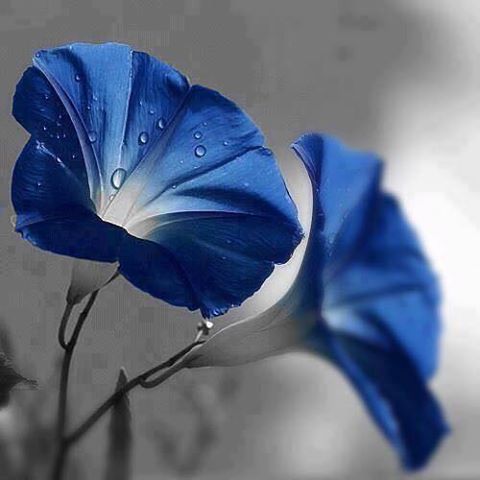 اضغط على الصورة لعرض أكبر.&nbsp;

الإسم:	20479611_493737404294509_528547814321347909_n.jpg&nbsp;
مشاهدات:	1&nbsp;
الحجم:	27.4 كيلوبايت&nbsp;
الهوية:	860961