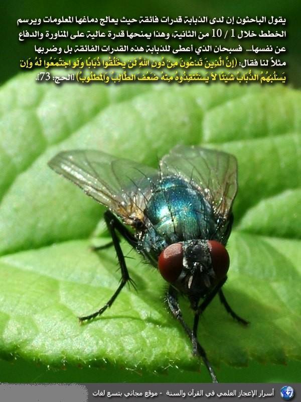 اضغط على الصورة لعرض أكبر.&nbsp;

الإسم:	33af66227c175e6fd189c5d241c090a3.jpg&nbsp;
مشاهدات:	1&nbsp;
الحجم:	71.4 كيلوبايت&nbsp;
الهوية:	852867