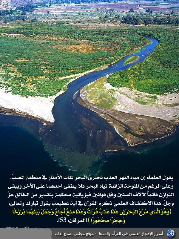 اضغط على الصورة لعرض أكبر.&nbsp;

الإسم:	f77c314b13c2c01b1db3352f69ad4549.jpg&nbsp;
مشاهدات:	1&nbsp;
الحجم:	136.3 كيلوبايت&nbsp;
الهوية:	852877